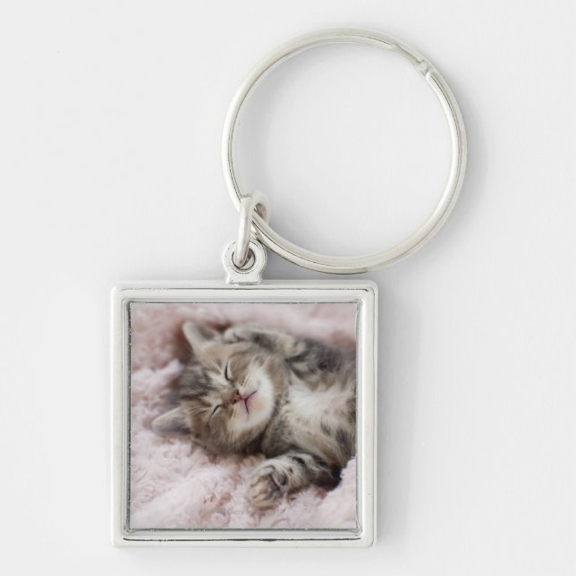 Kattunge som sovar på handduken fyrkantig silverfärgad nyckelring (Framsidan)