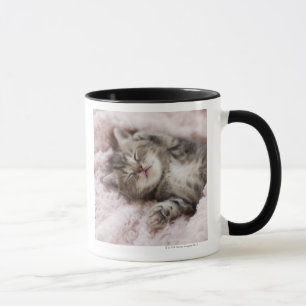 Kattunge som sovar på handduken mugg