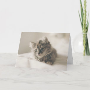 Kattunge som tänkte på dig kort