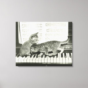 Kattunge som två leker på pianotangentbord, (B&W Canvastryck