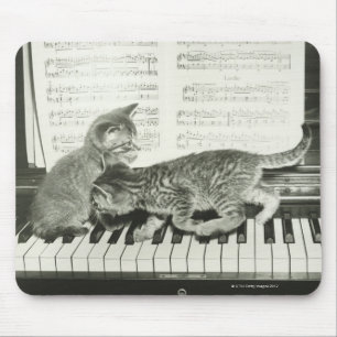 Kattunge som två leker på pianotangentbord, (B&W Musmatta