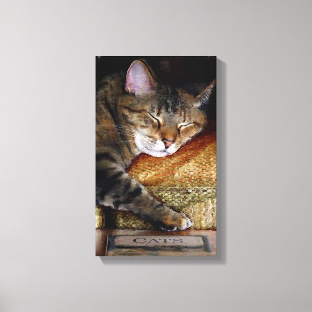 Kattunge Sömnig Bok Canvastryck (Framsida)