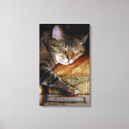 Kattunge Sömnig Bok Canvastryck