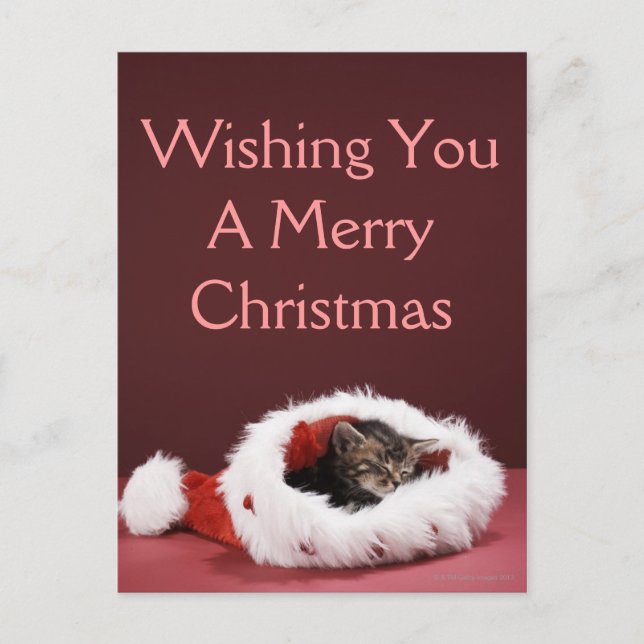Kattunge sovande i julhatt helg vykort (Framsida)