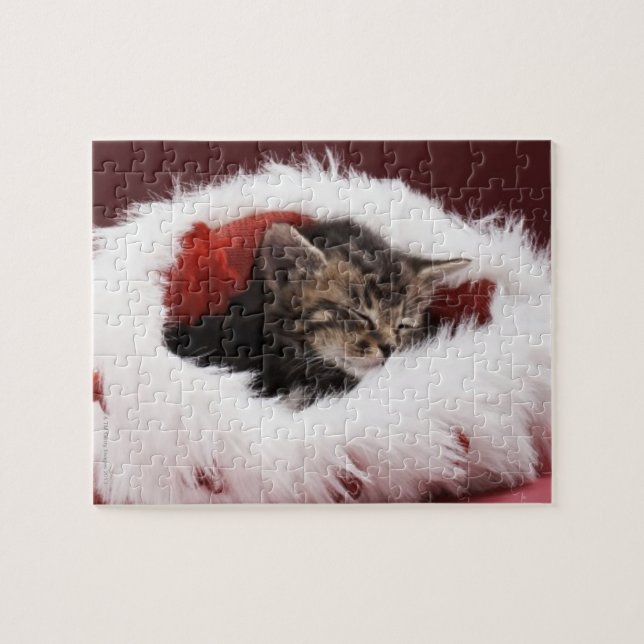 Kattunge sovande i julhatt pussel (Horisontell)