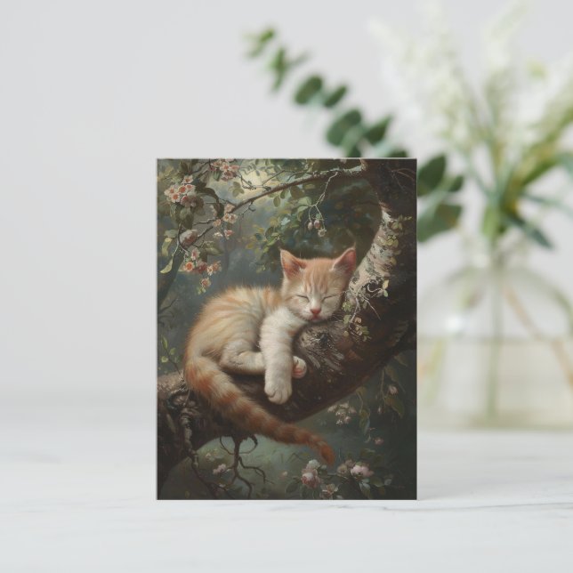 Kattunge sover i ett träd vintage vykort (Stående Fram)