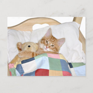 Kattunge sover med Teddy Vykort