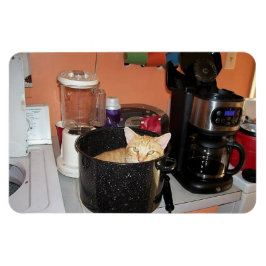 Kattunge Stew Magnet