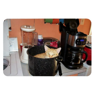 Kattunge Stew Magnet