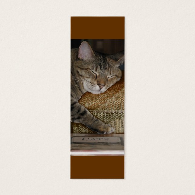 Kattunge-strömprofilkort Litet Visitkort (Framsidan)