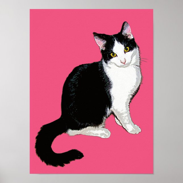 Kattunge, Svarta och vita på Shock rosa Poster (Framsidan)