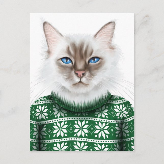 Kattunge Sweater Vykort (Framsida)