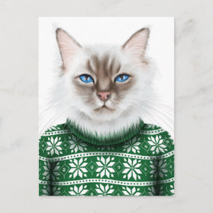 Kattunge Sweater Vykort