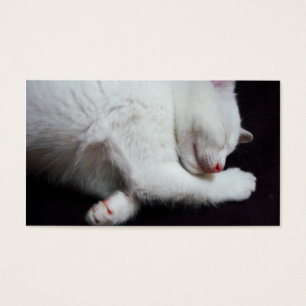 KATTUNGE TA SIG EN TUPPLUR VISITKORT