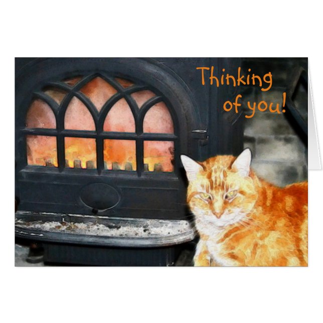 Kattunge tänker på ditt kort (Framsidan Horizontal)