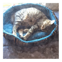 Kattunge tar en tupplur, akvarell tabbykatt som so