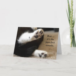 Kattunge Tassar Hämta källkort Kort