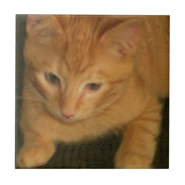 Kattunge Tile Kakelplatta (Framsidan)