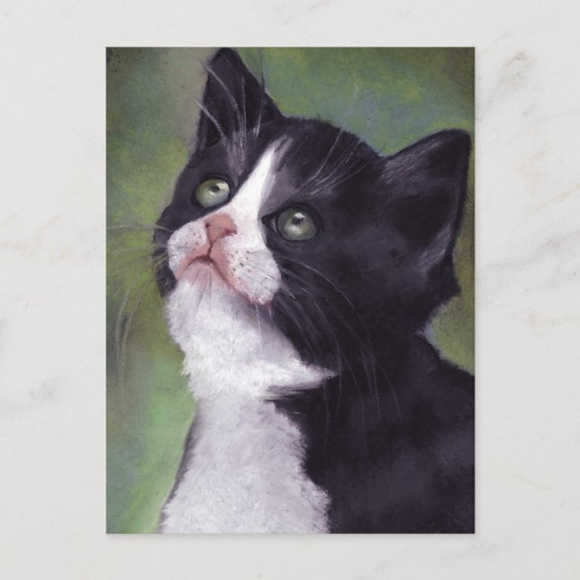 Kattunge Tittar upp: Katt i pastellolja Vykort (Framsida)