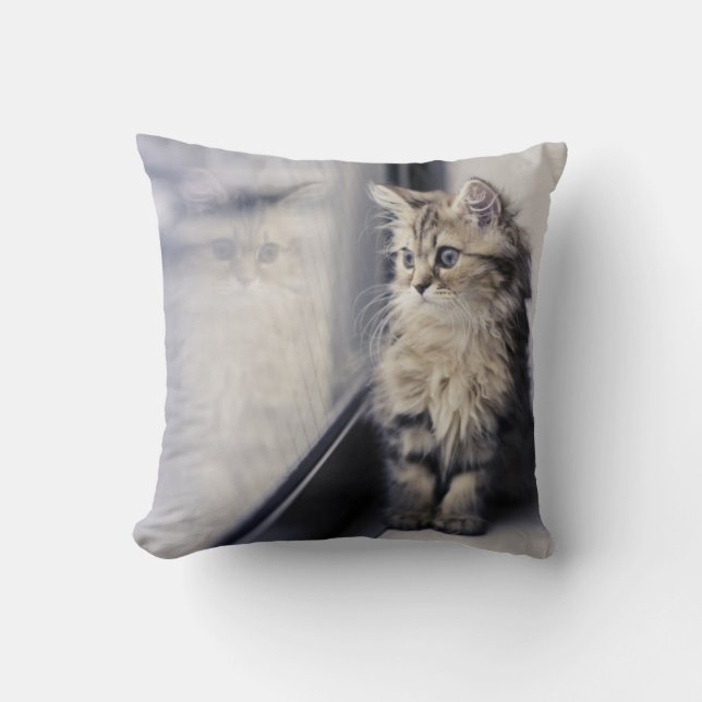 Kattunge tittar ut fönster kudde (Framsida)