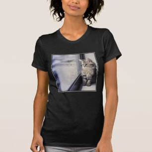 Kattunge tittar ut fönster tee