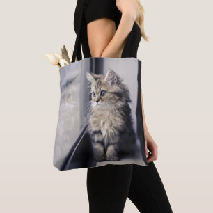 Kattunge tittar ut fönster tygkasse