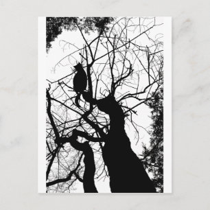 KATTUNGE TRÄD SILHOUETTE B&W VYKORT