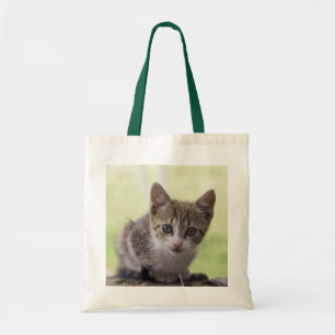 Kattunge Tygkasse
