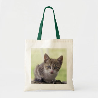 Kattunge Tygkasse