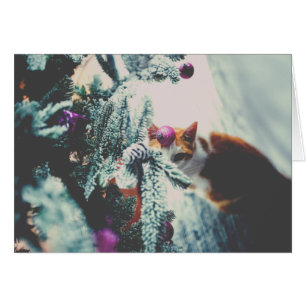 Kattunge under Julgran Hälsningskort
