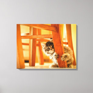 Kattunge under ordförandeskap canvastryck