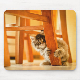 Kattunge under stol musmatta