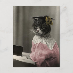 Kattunge Valediktorian Vykort