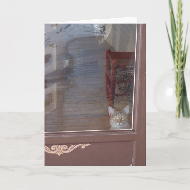 Kattunge vid Doorway Kort (Framsida)