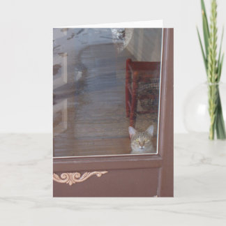 Kattunge vid Doorway Kort