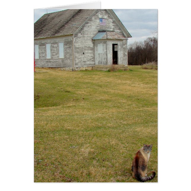 Kattunge vid skolan hälsningskort (Framsidan)