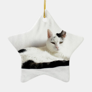 Kattunge, vit och svart katt, relaxande julgransprydnad keramik