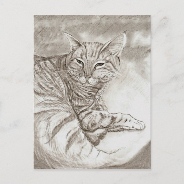 Kattunge Vykort (Framsida)