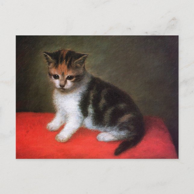 Kattunge vykort: Kitten av George Stubbs Vykort (Framsida)