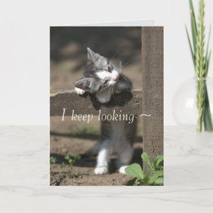 KATTUNGE WATCH SAKNAR DIG-KORTET KORT