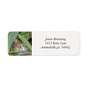 Kattungeadressetikett Returadress Etikett