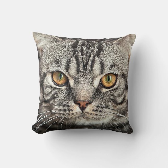 Kattungeansiktecloseupen kudder kudde (Framsida)