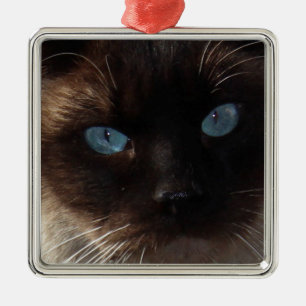 Kattungeblåttögon Julgransprydnad Metall