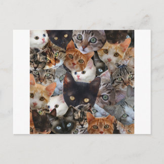 KattungeCollage Vykort