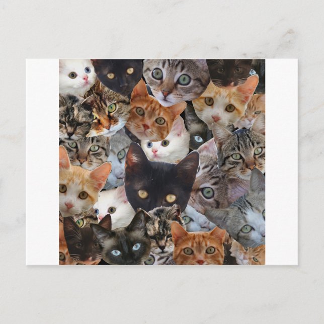 KattungeCollage Vykort (Framsida)
