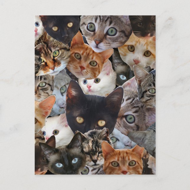 KattungeCollage Vykort (Framsida)