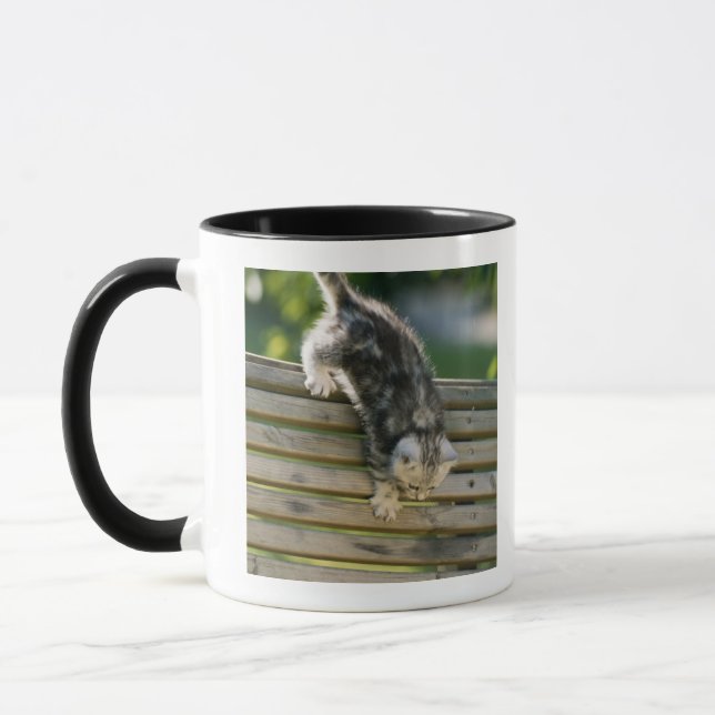 Kattungeflyttan besegrar tar av planet på mugg (Vänster)