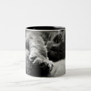 Kattungefoto Två-Tonad Mugg