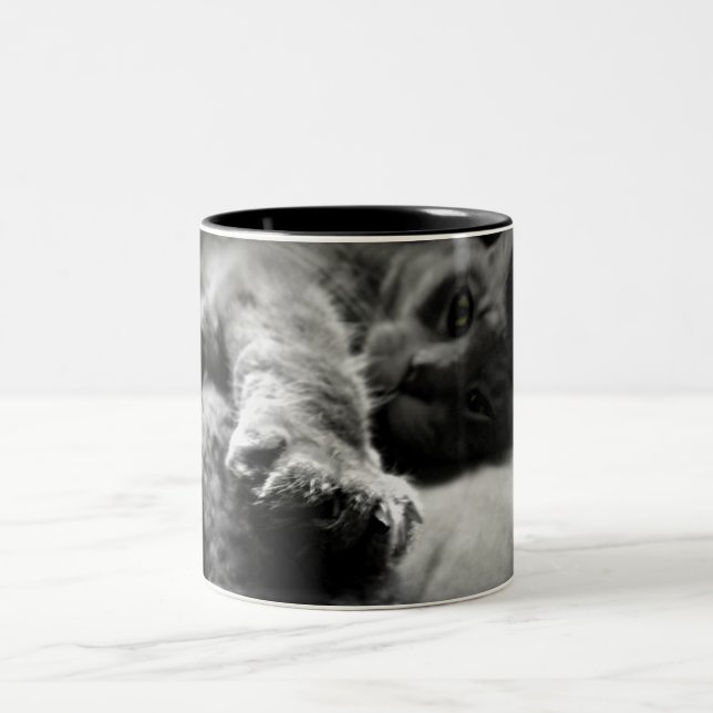 Kattungefoto Två-Tonad Mugg (Center)