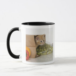 Kattungeinsidamatkasse Mugg